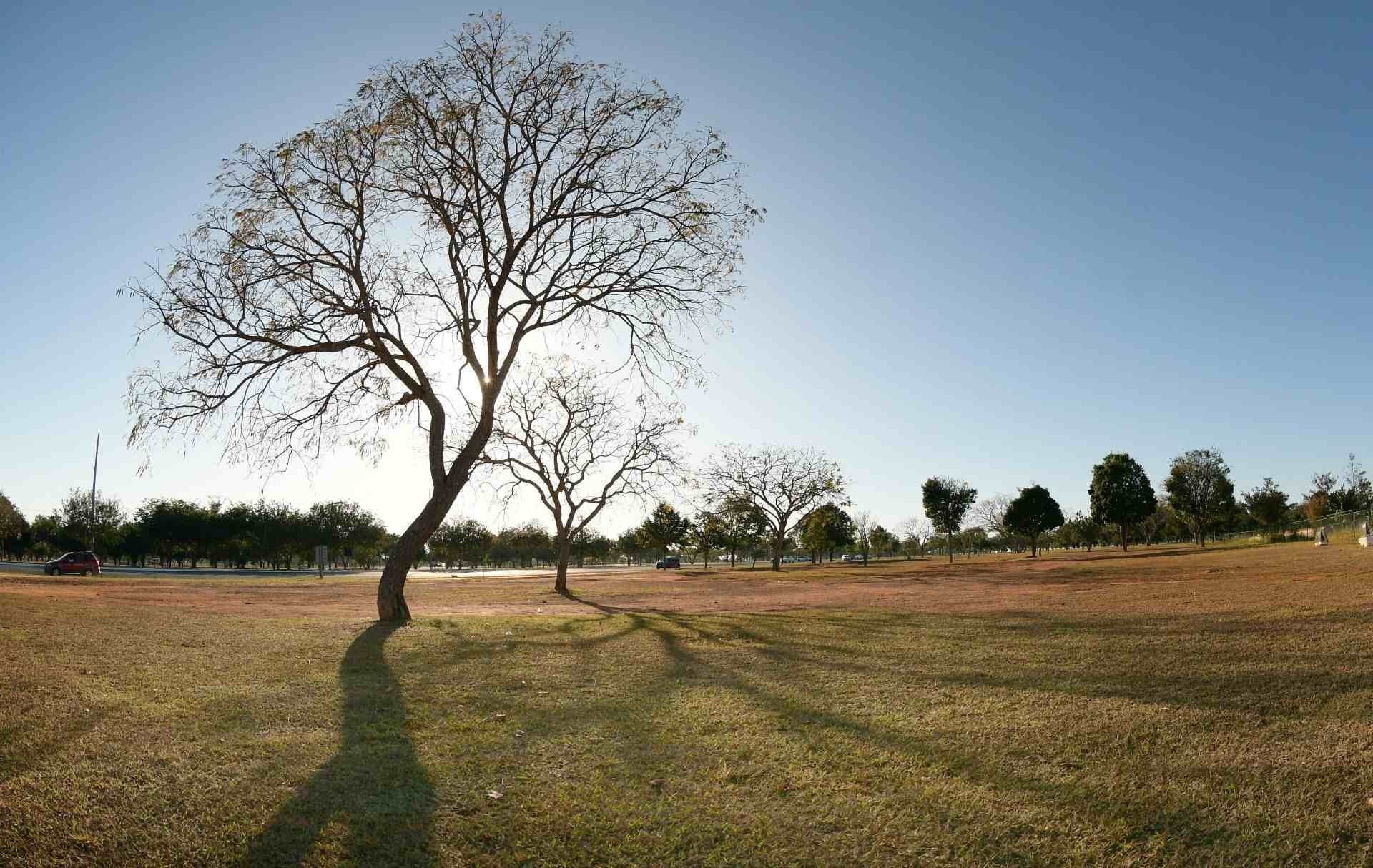 Terça-feira tem mínima de 16°C. Mesmo com o tempo aberto, frio continua