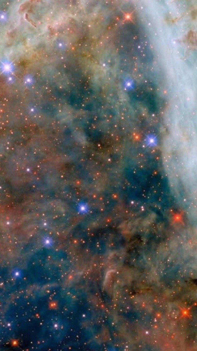 Nebulosa da Tarântula -  (crédito: ESA/Hubble & NASA, C. Murray)