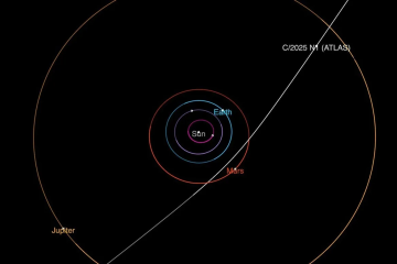 Na imagem mostra o caminho que o cometa 3I/ATLAS percorrerá no Sistema Solar -  (crédito: NASA/JPL-Caltech)